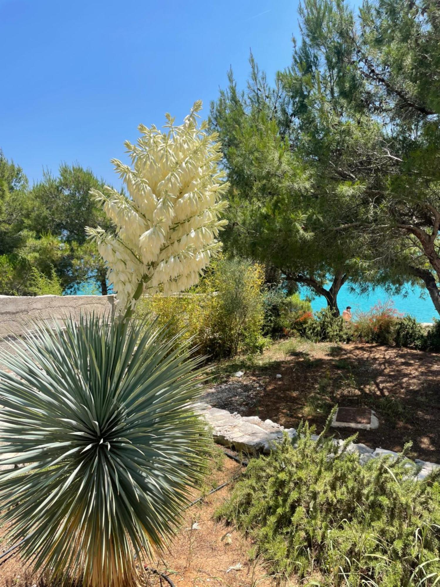 Luxury Villa Kate - In Lucice Bay With Turquoise Sea, Amazing Seaviews, And Heated Pool Милна Экстерьер фото